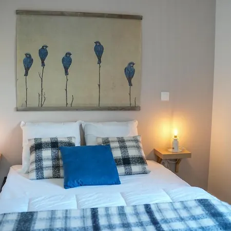 Apartment Neuf, Avec Terrasse, Parking Et Ascenseur